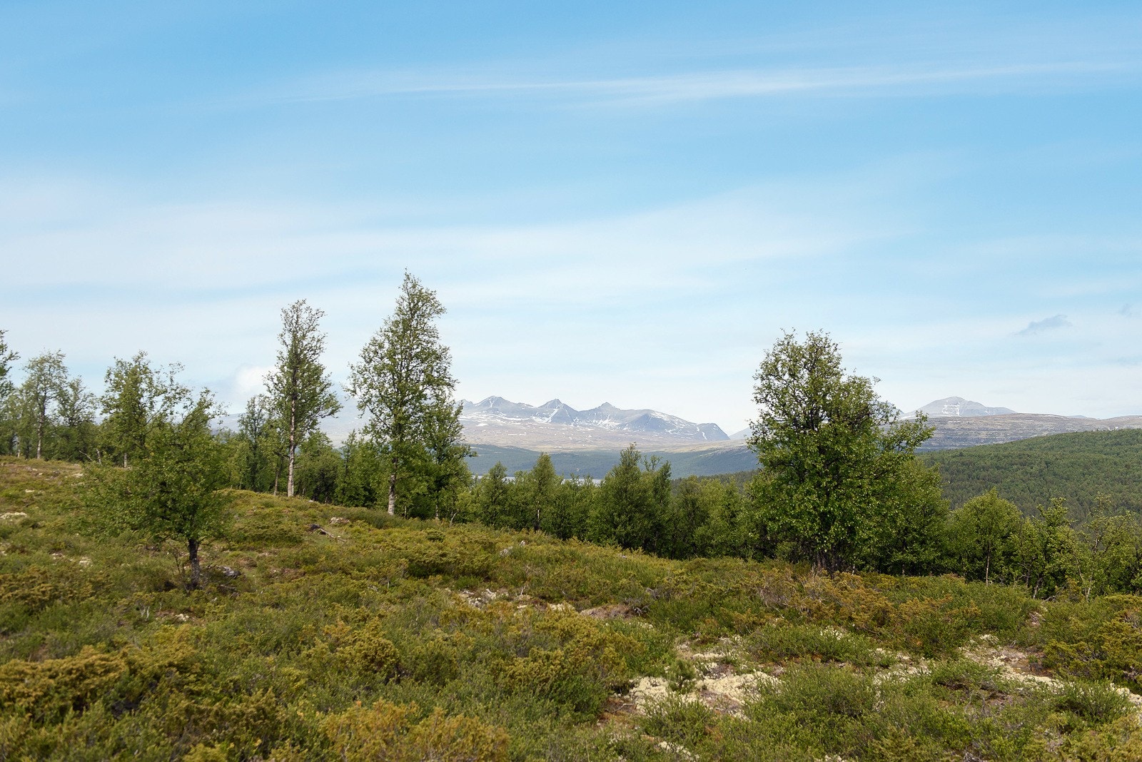 Fin utsikt fra tomtene Galleribilde