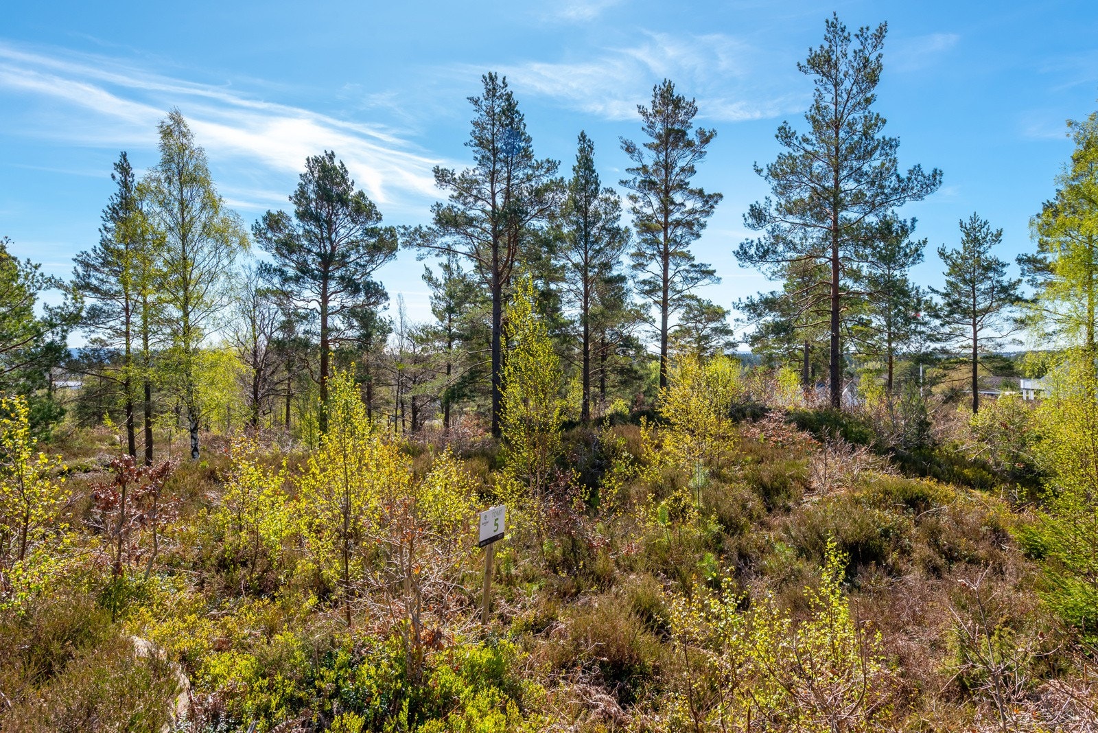 Tomt 5 Galleribilde