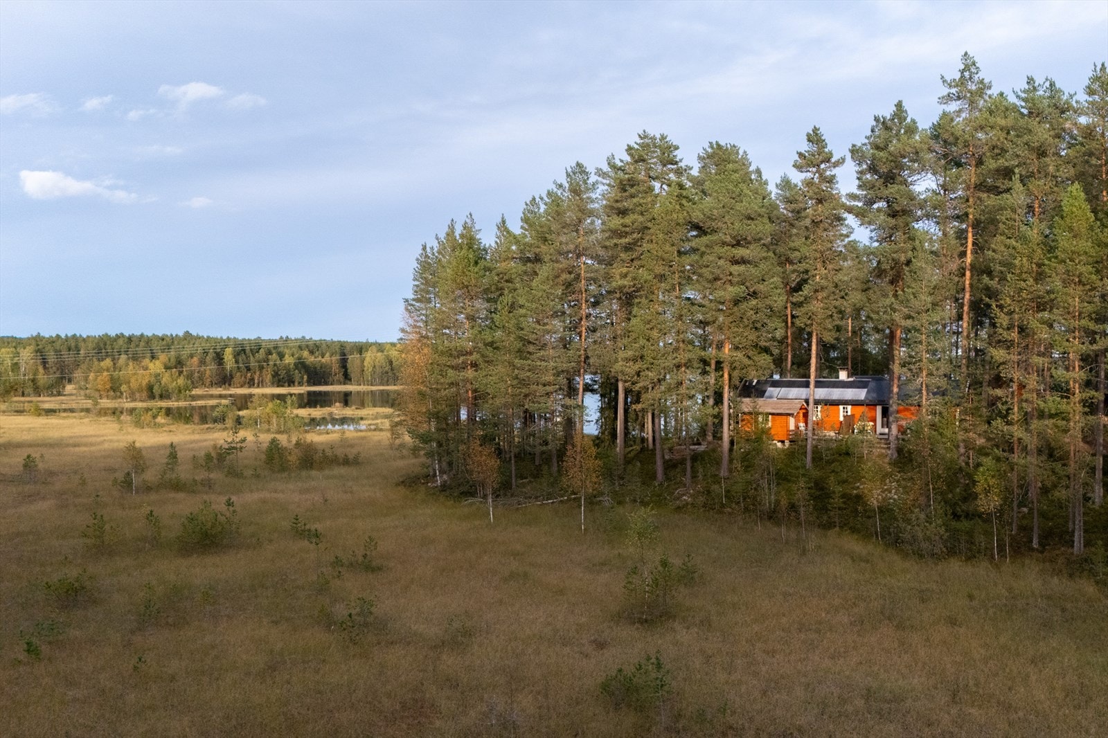 Et fantastisk naturområde Galleribilde