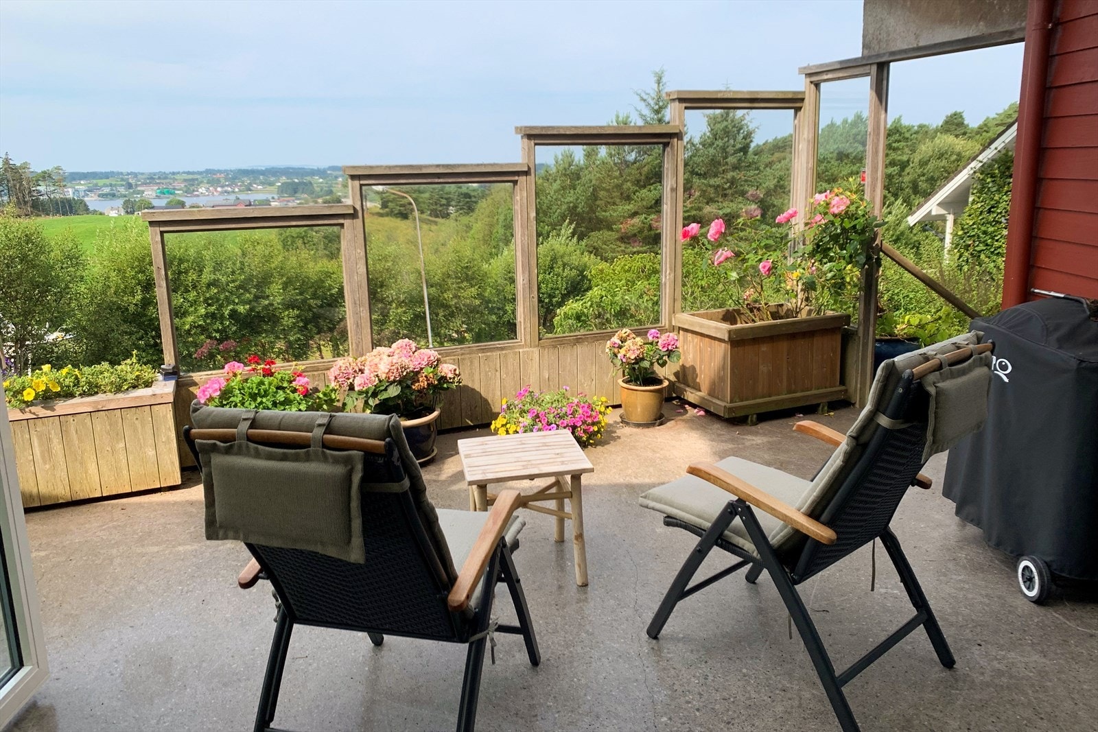 Privat bilde - Sommer. Galleribilde