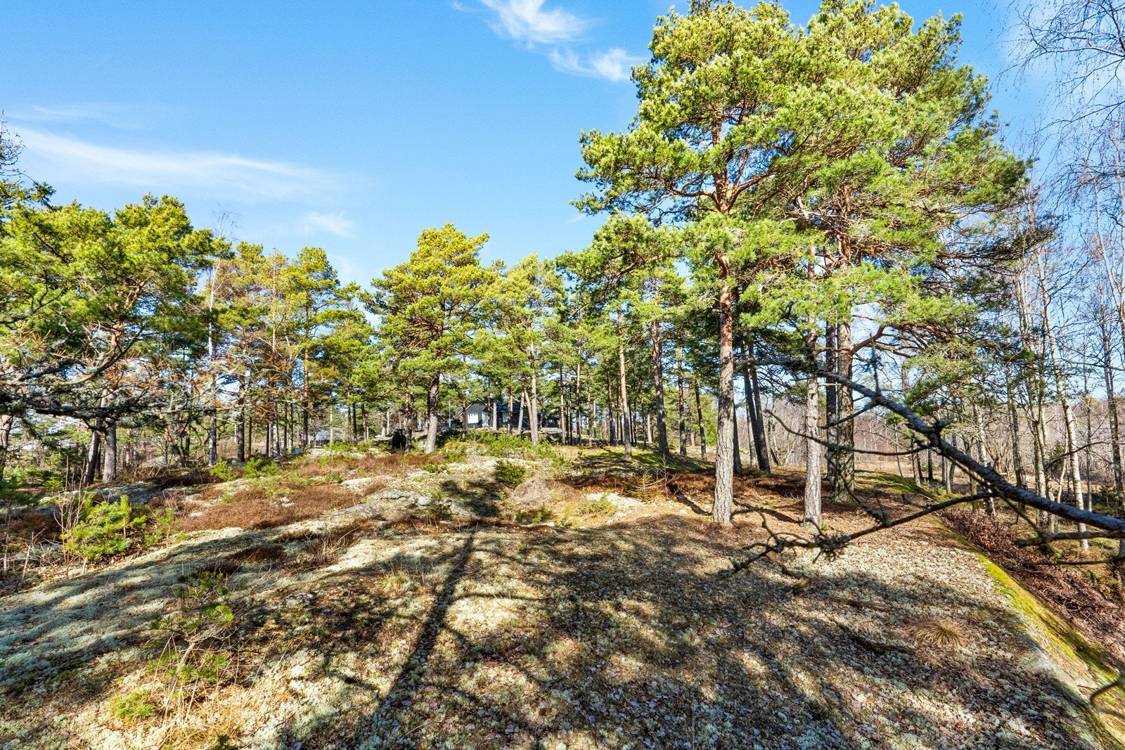 Tomten ligger høyt og fritt til, med en usjenert plassering i terrenget. Galleribilde
