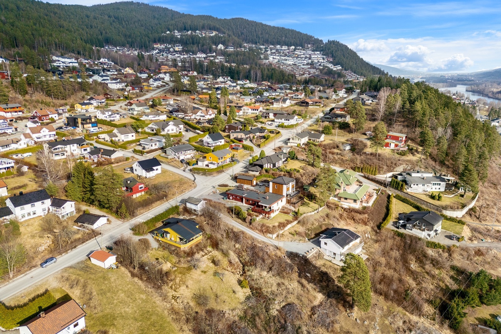 Nærområdet. Galleribilde