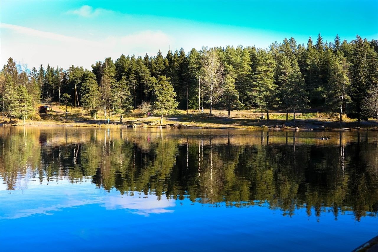 Badedammen på Grorud. Galleribilde