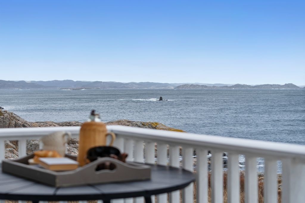 Panorama utsikt Galleribilde