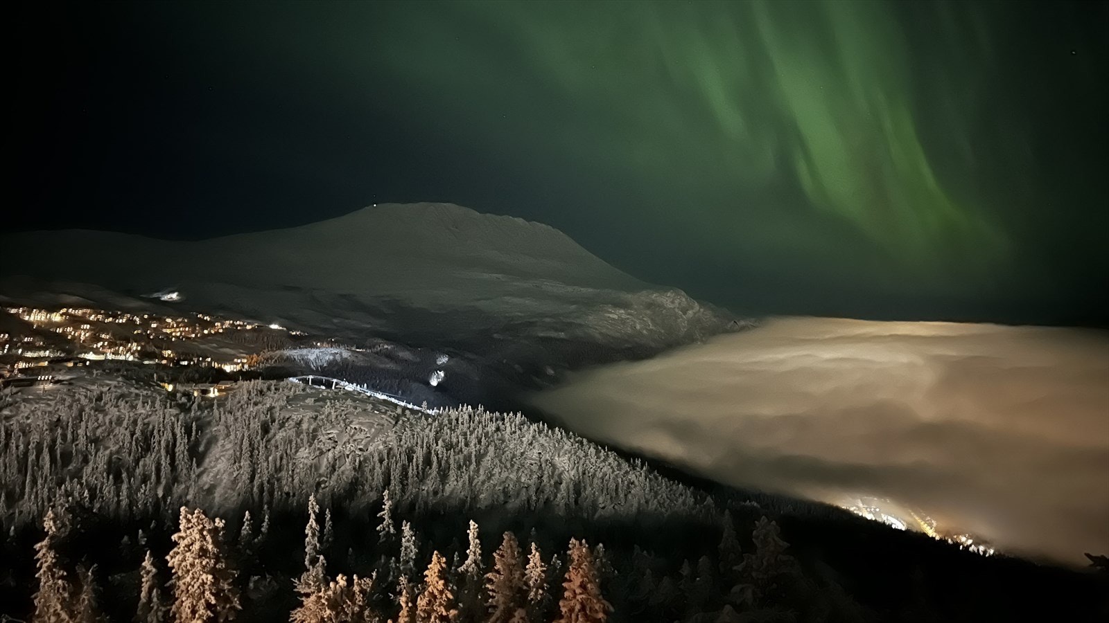 Nordlys sett fra The Edge Galleribilde