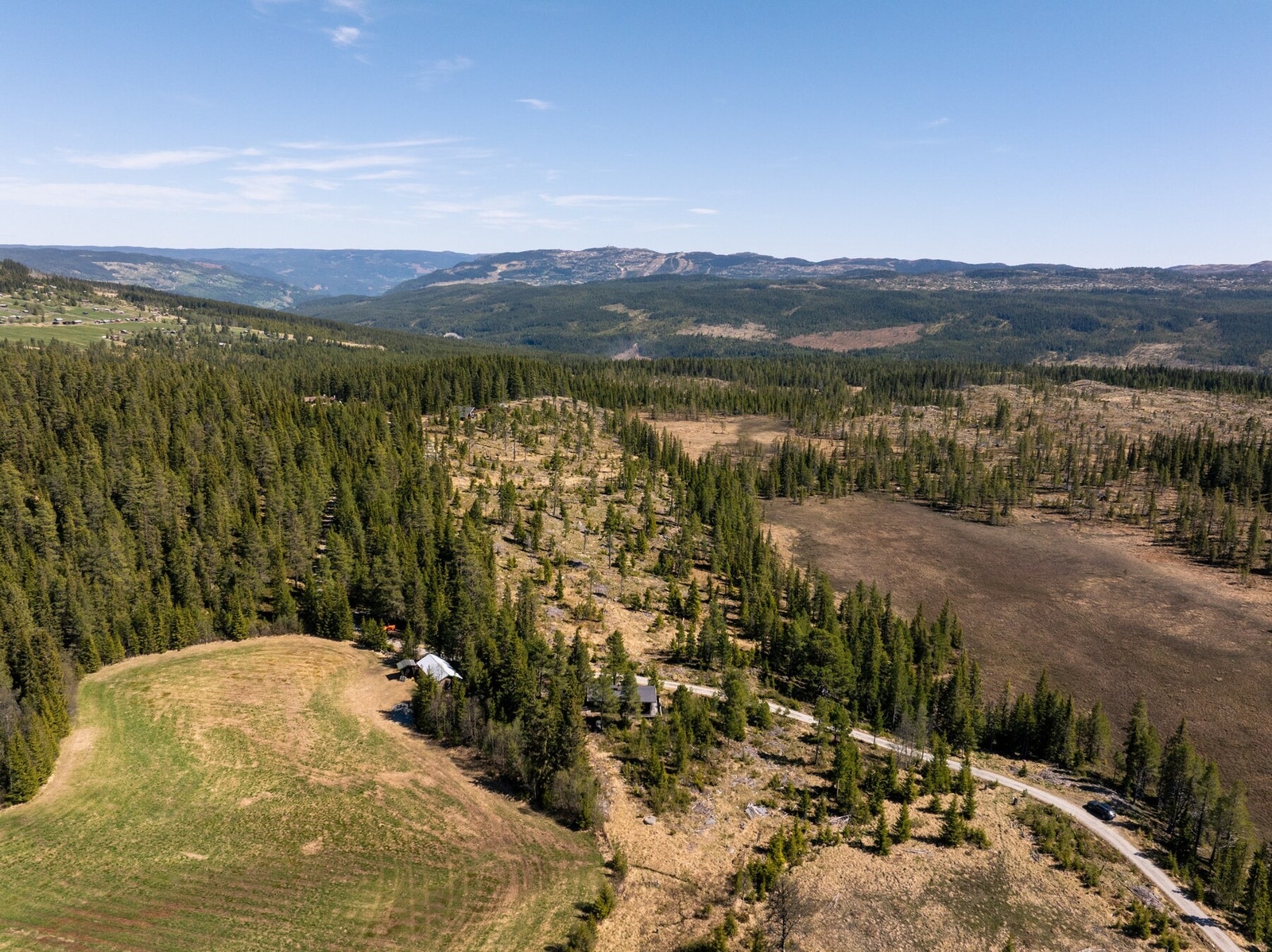 Seterlaget Saupeset og Nesfjellet ses i bakgrunnen på dette blldet. Galleribilde