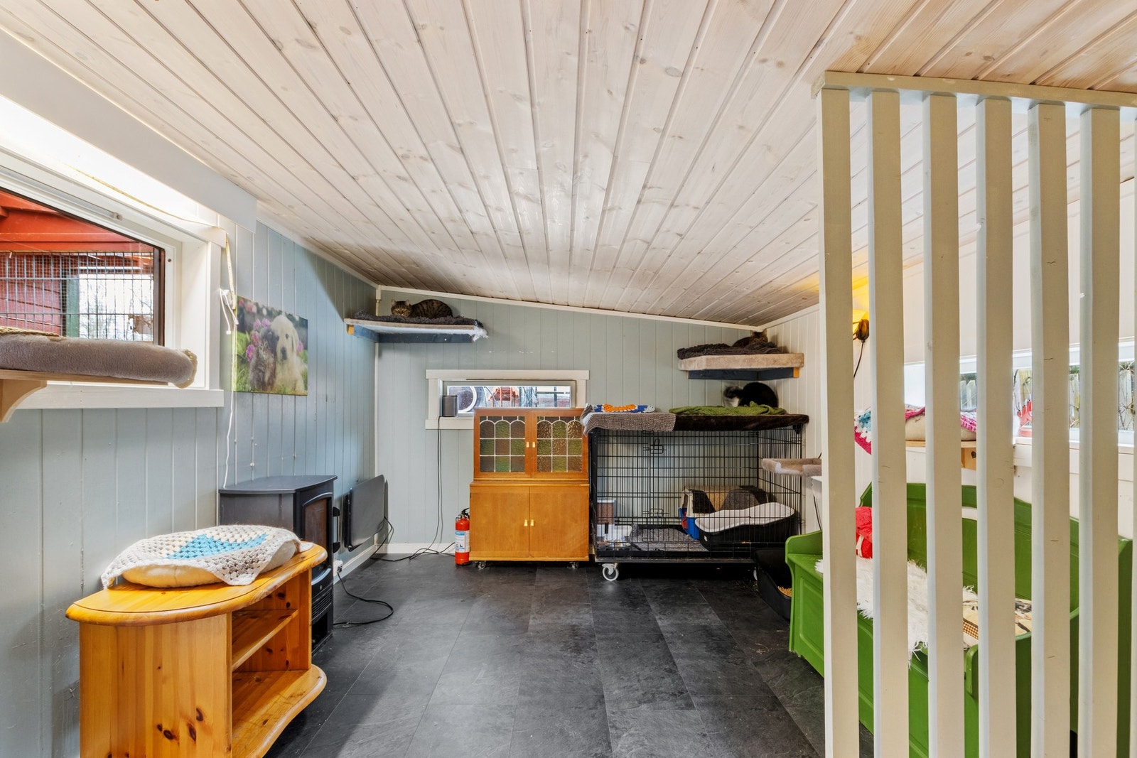 Rom for dyrehold. Galleribilde