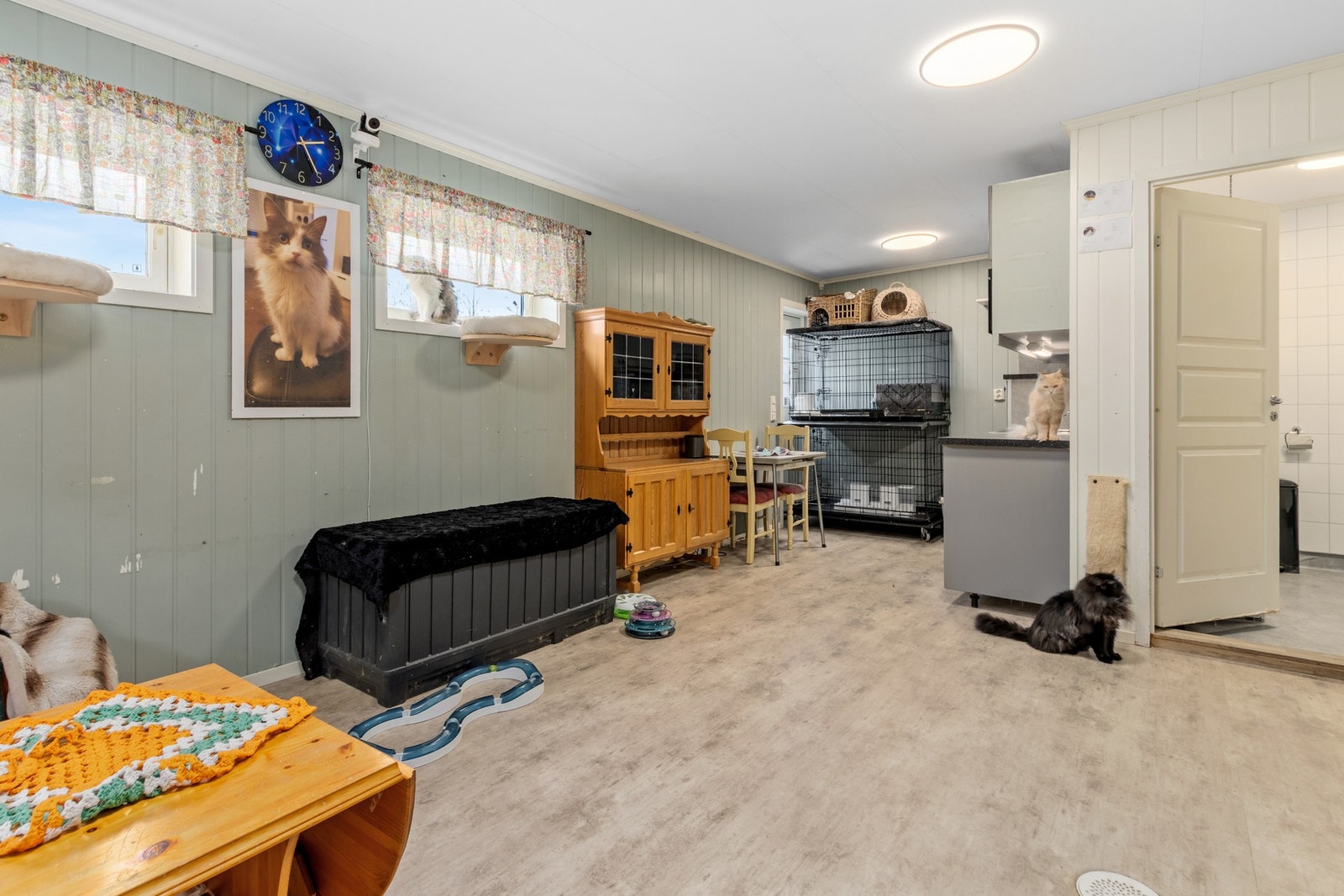 Rom for dyrehold på 30 kvm med eget kjøkken og bad. Galleribilde