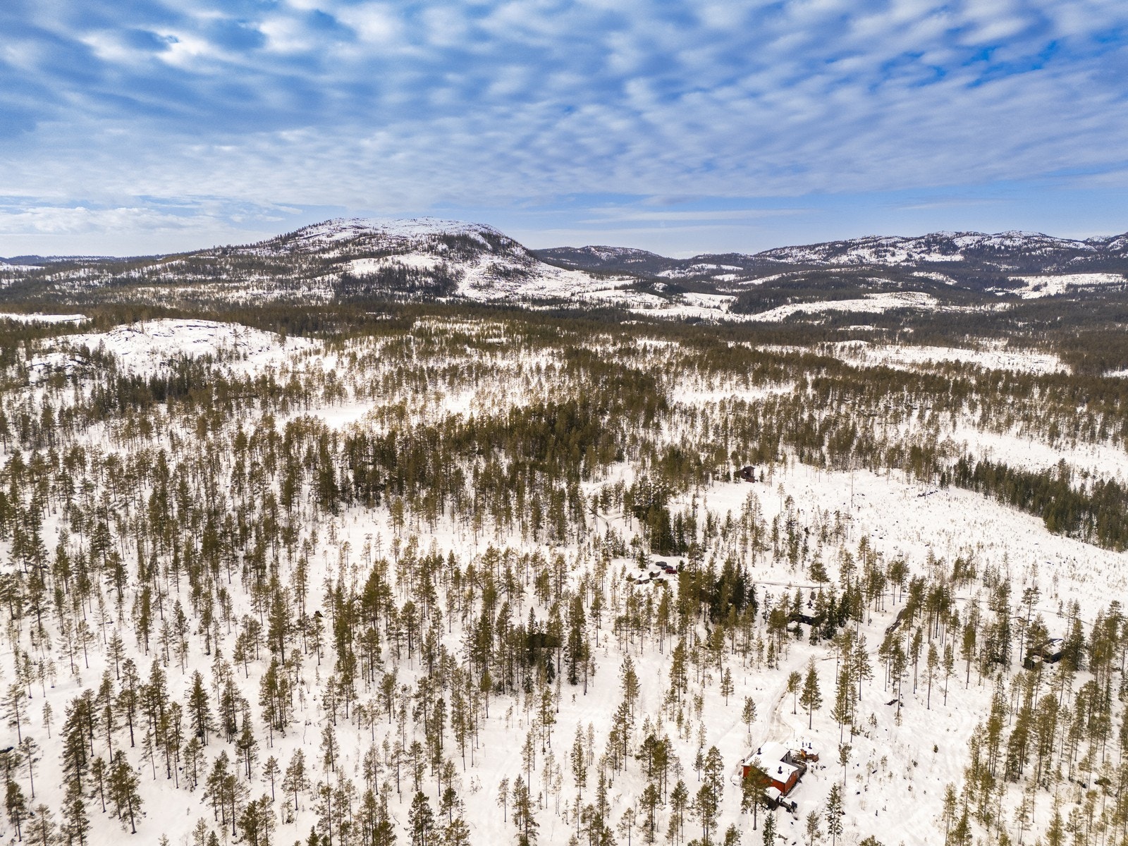 Det er helårsvei frem til eiendommen, noe som gir enkel og praktisk adkomst uansett årstid. Galleribilde