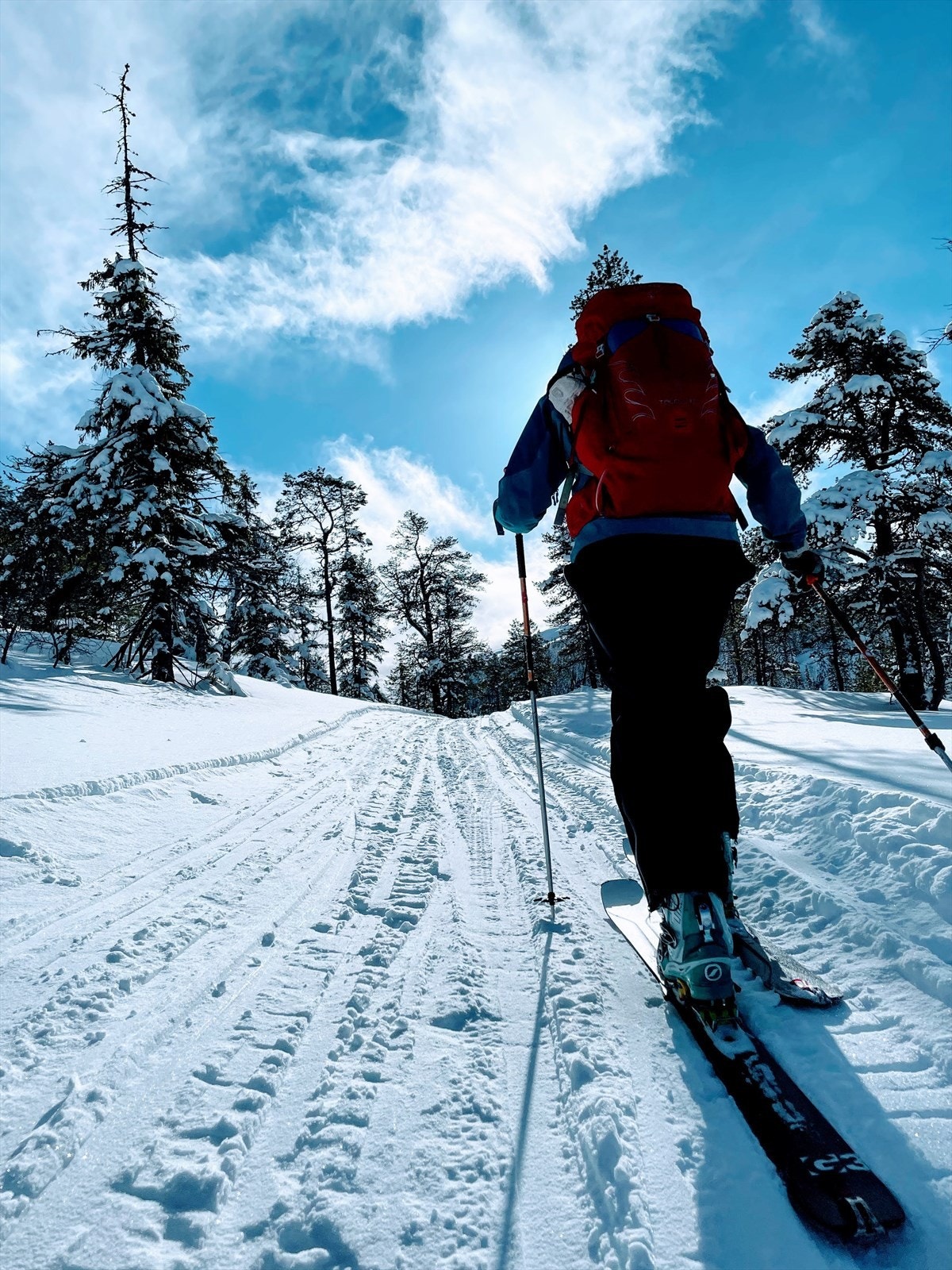 På vinterstid kan man spenne på skiene og f.eks. ta seg en topptur opp Vassfjellet. Galleribilde