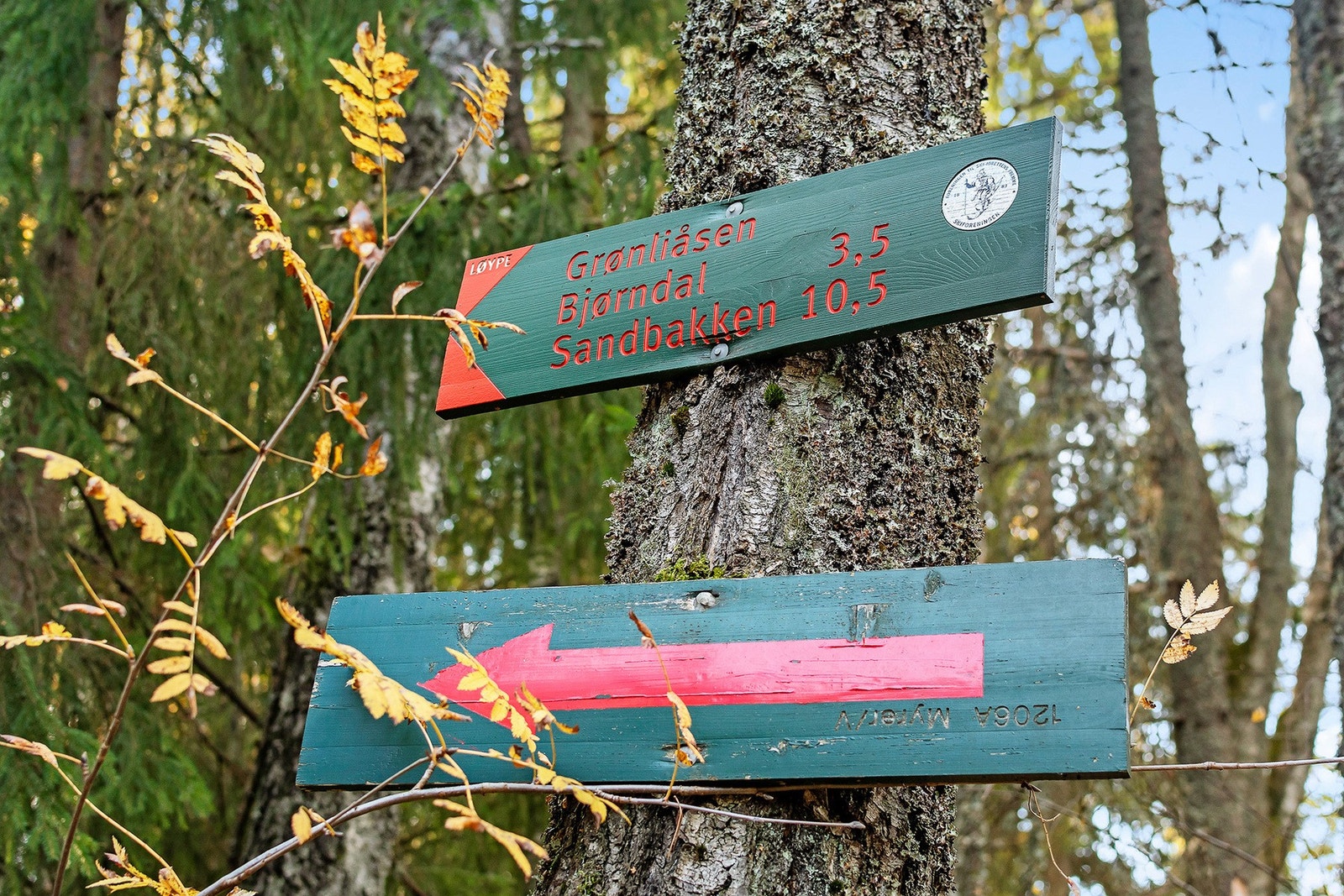 Det er mange turmuligheter i omådet, blant annet Grønliåsen, sydover i Sørmarka og østover (gå brua over E6) i Østmarka. Galleribilde