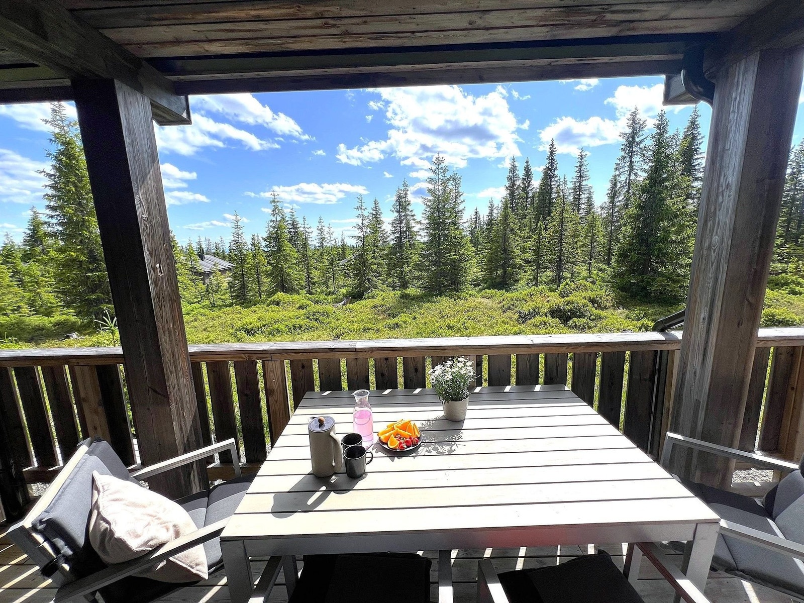 Sommer på terrassen. Galleribilde