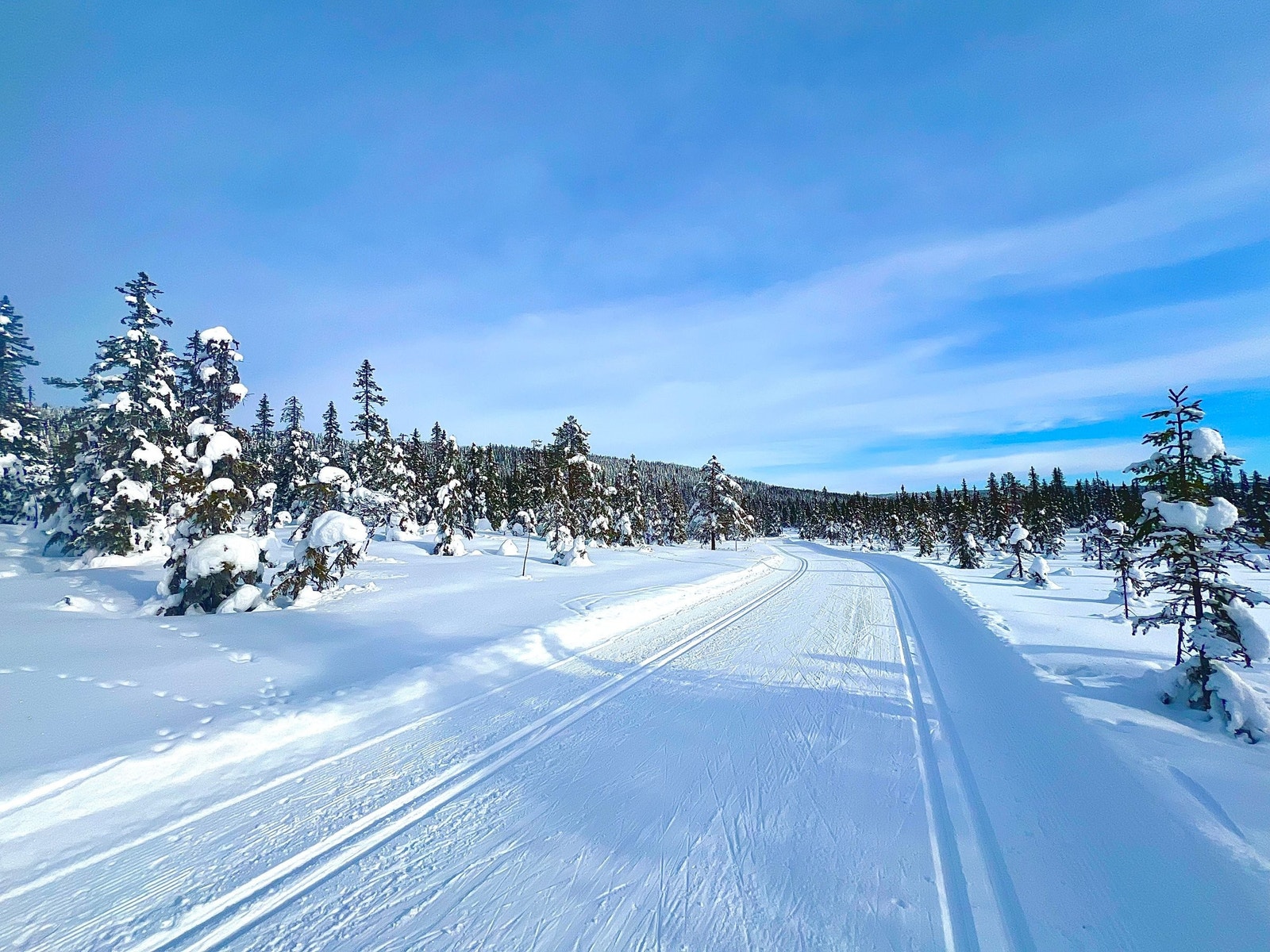 Løyper mot Sjusjøen, Rømåsen og Ljøsheim. Galleribilde