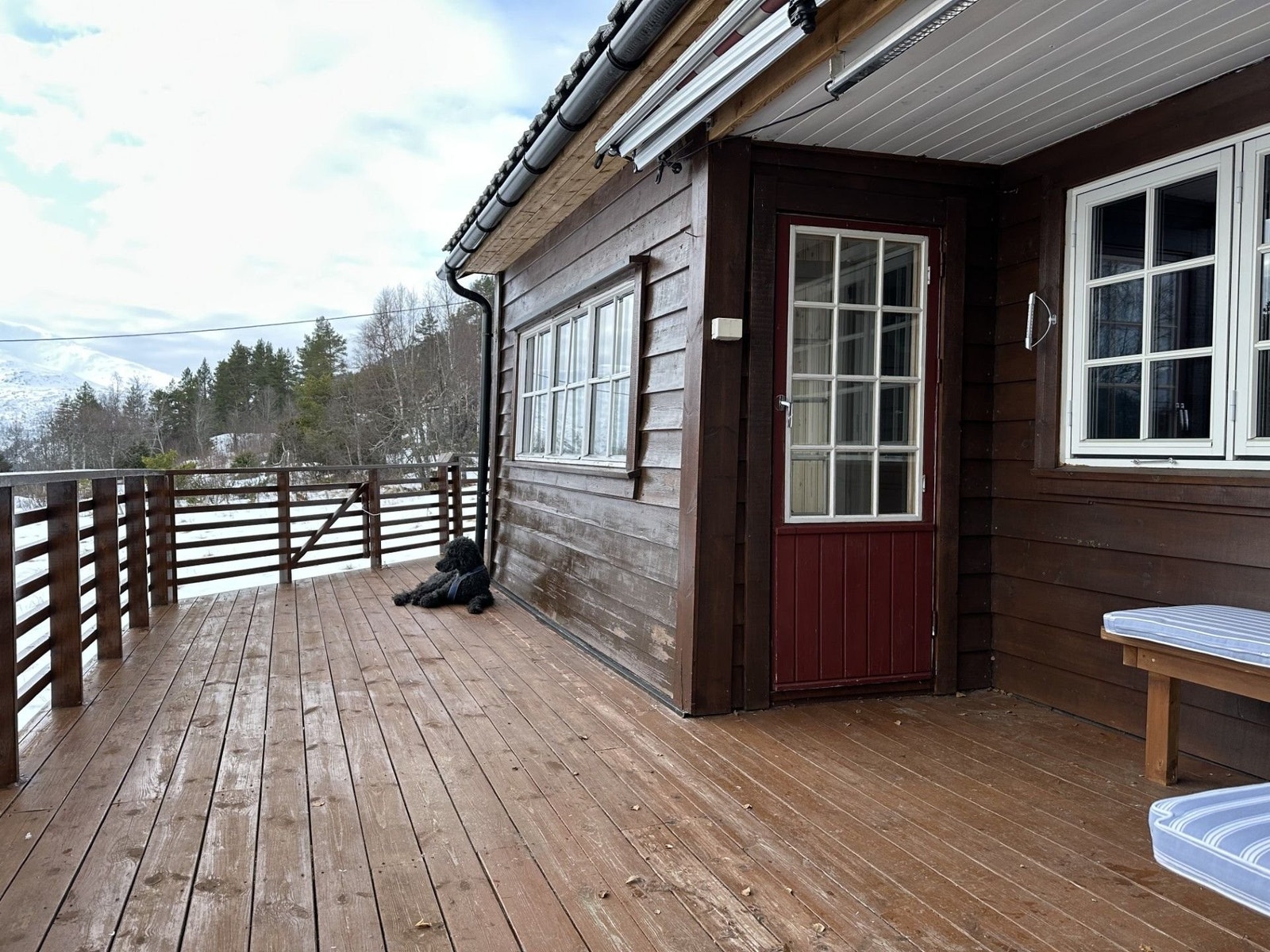 Terrassekrok Galleribilde