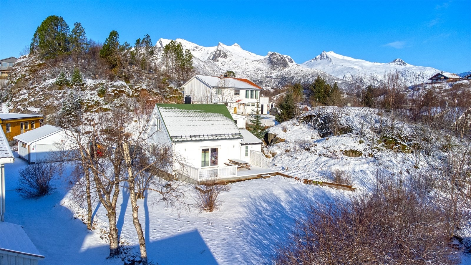 Stor tomt Galleribilde