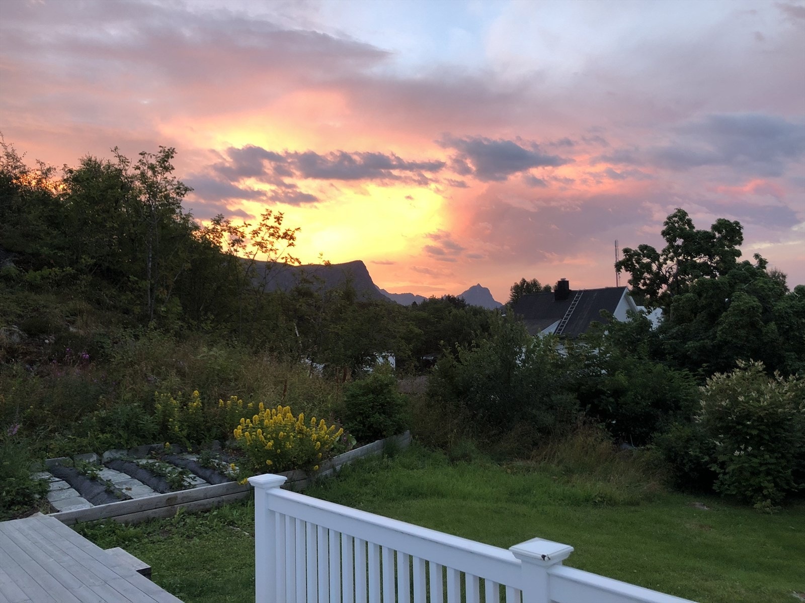 Gode solforhold på terrassen Galleribilde