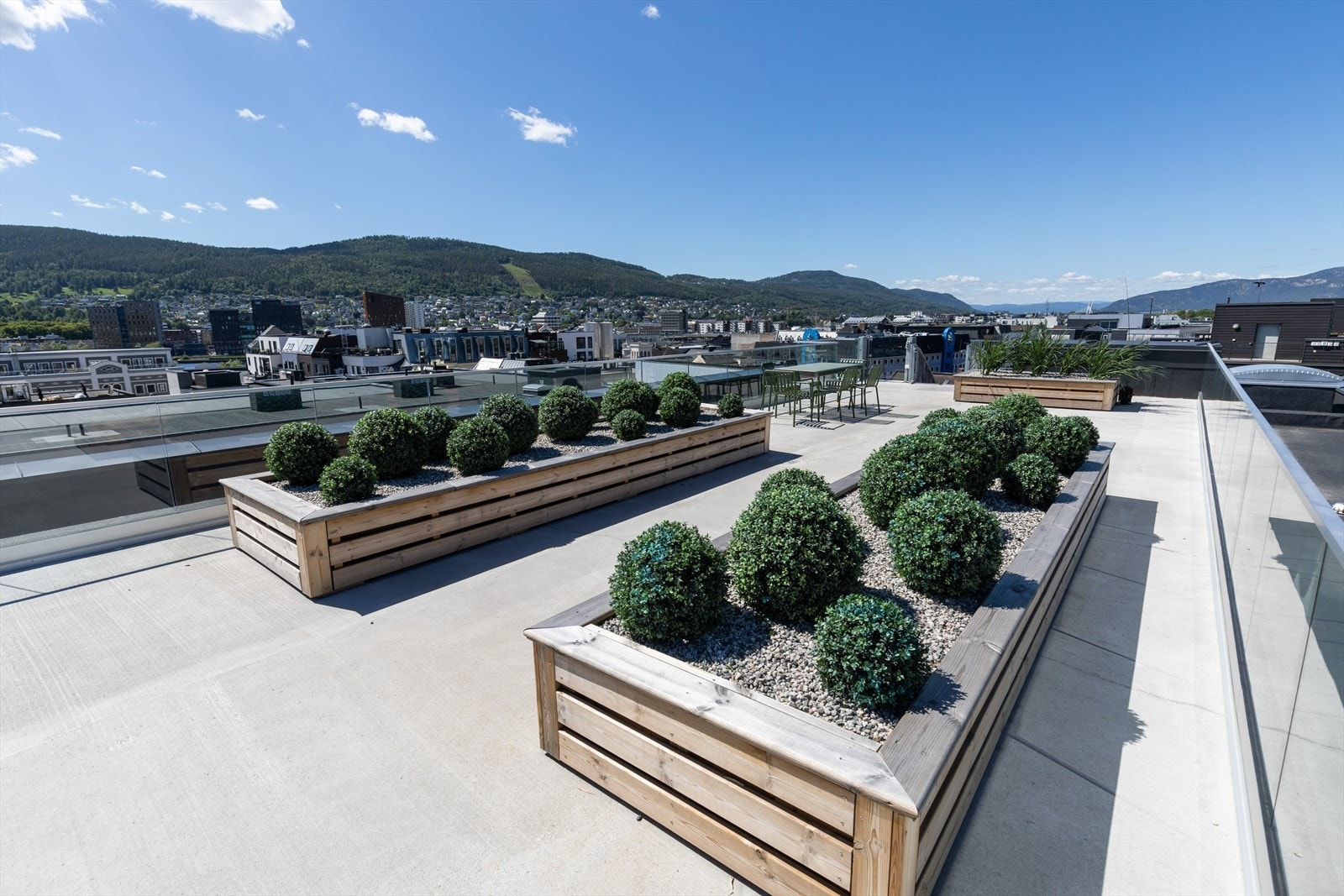 Felles takterrasse. Galleribilde