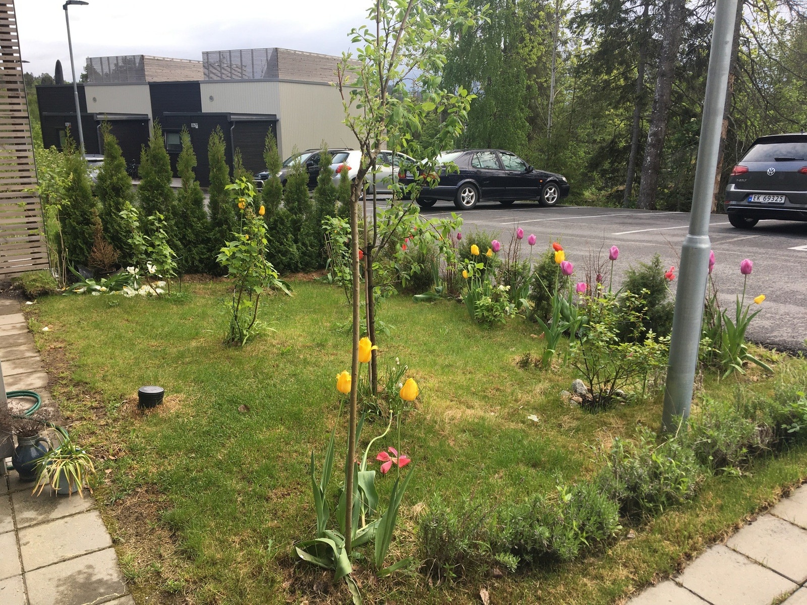 Selgers private bilde (under etableringen). Galleribilde