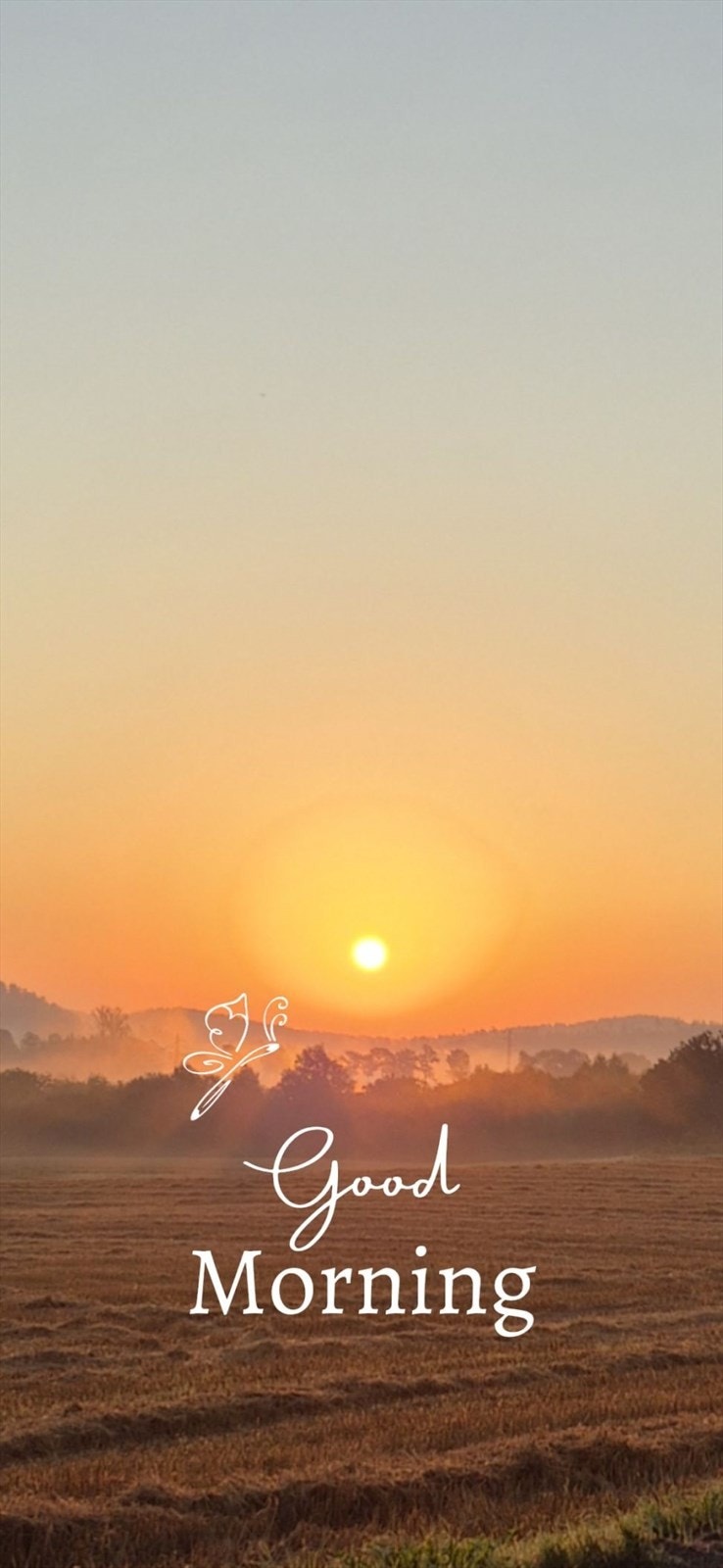 Bilde fra selger Galleribilde