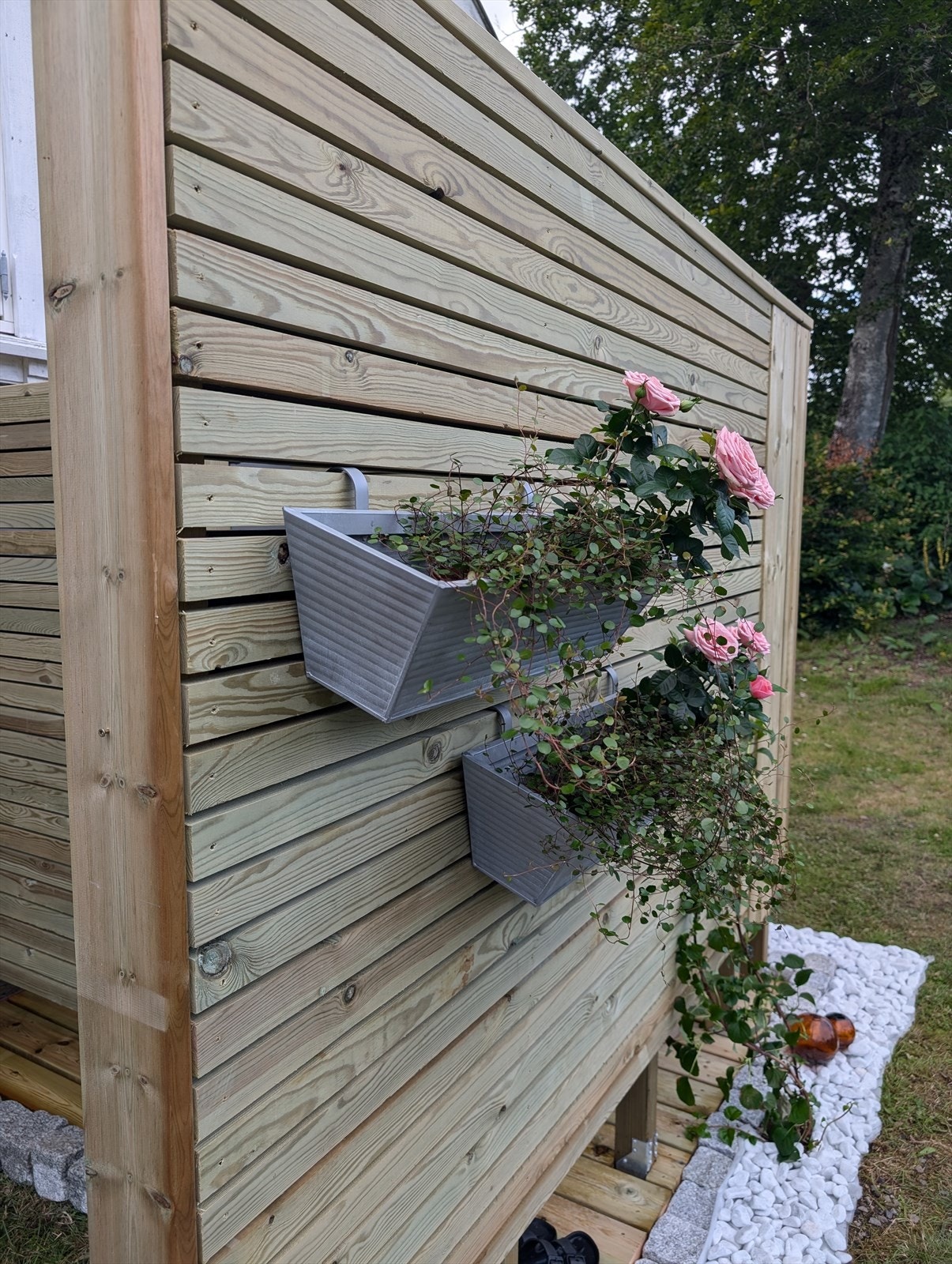 Bilde fra selger Galleribilde