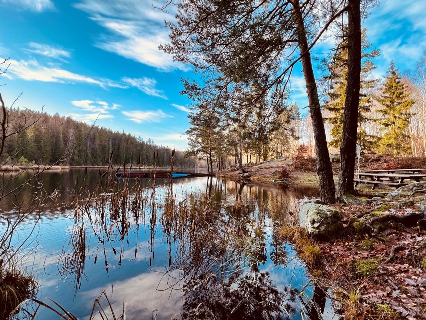 Bilde fra selger Galleribilde