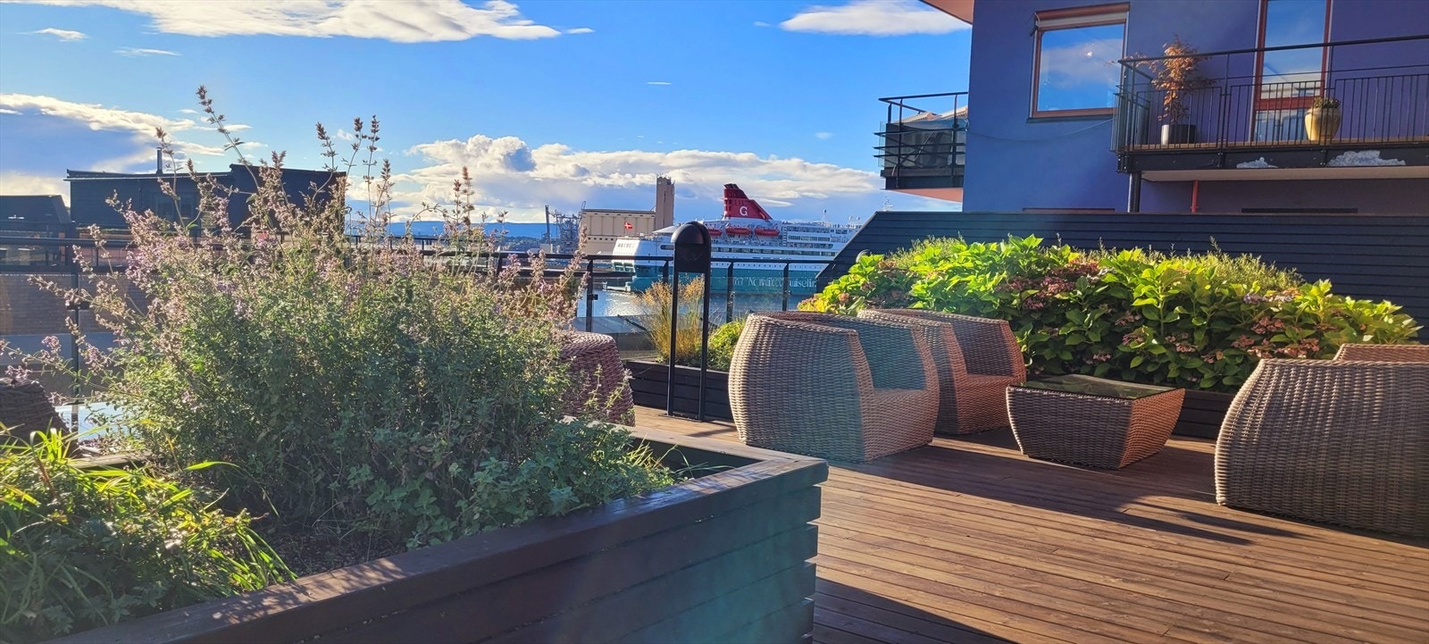 Selgers sommerbilde. Galleribilde