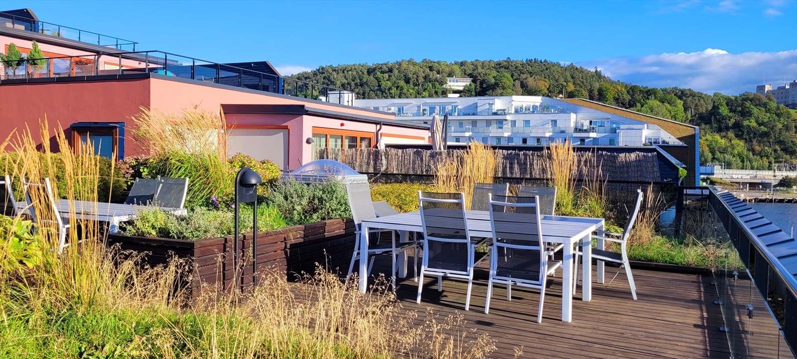 Selgers sommerbilde. Galleribilde