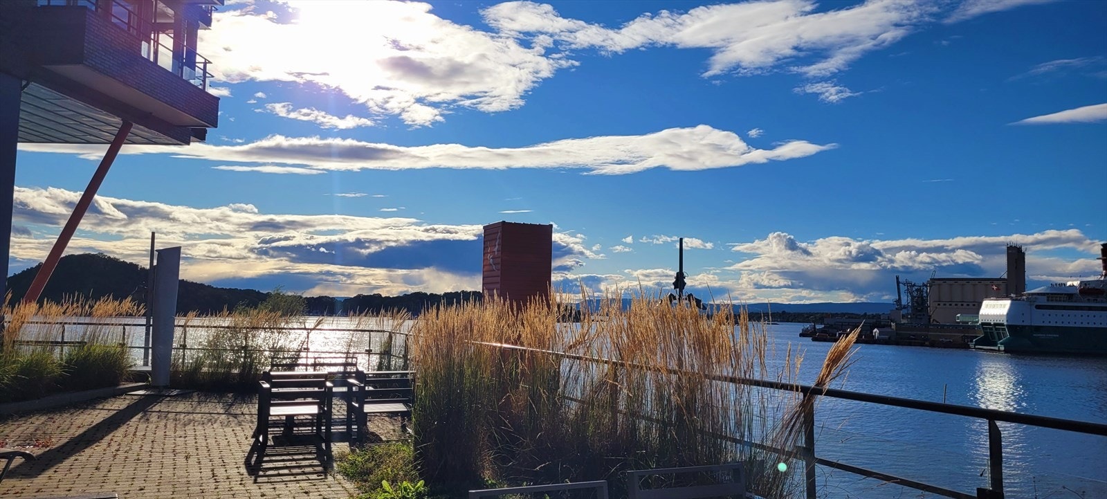 Selgers sommerbilde. Galleribilde