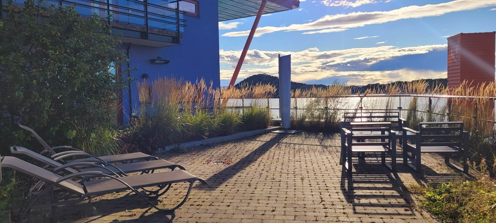 Selgers sommerbilde. Galleribilde