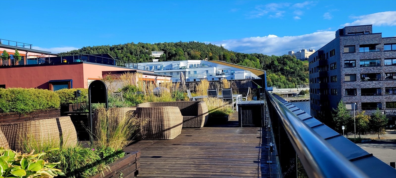 Selgers sommerbilde. Galleribilde