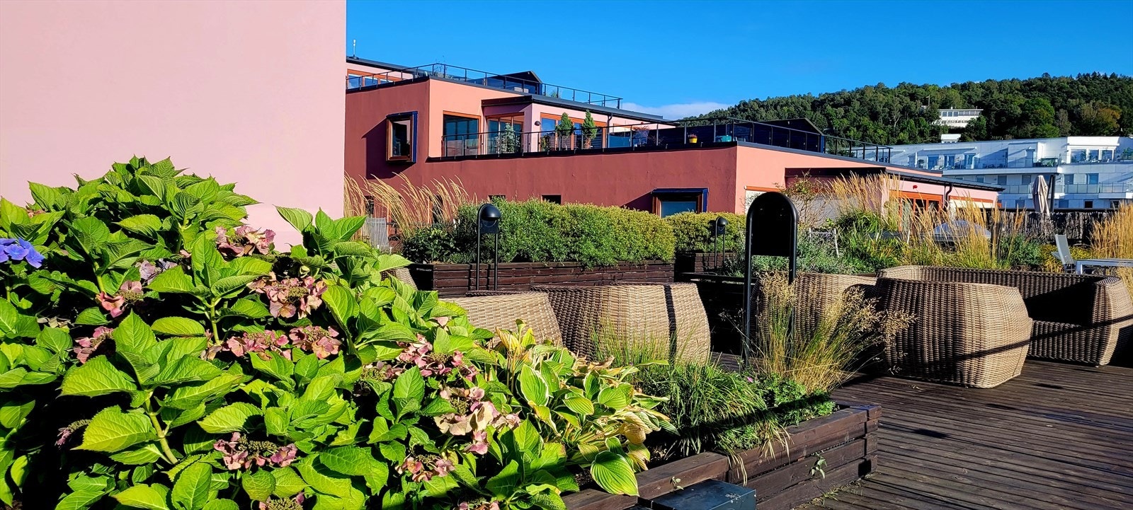 Selgers sommerbilde. Galleribilde