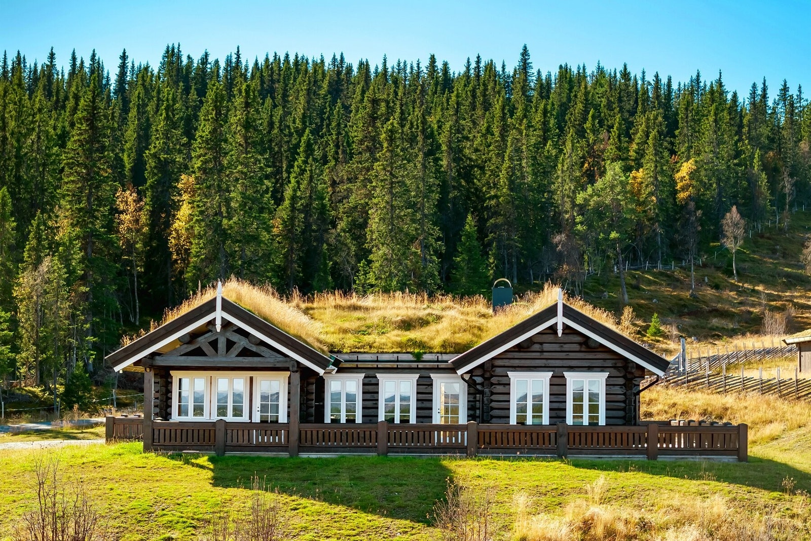 Hytta på sommerstid. Galleribilde