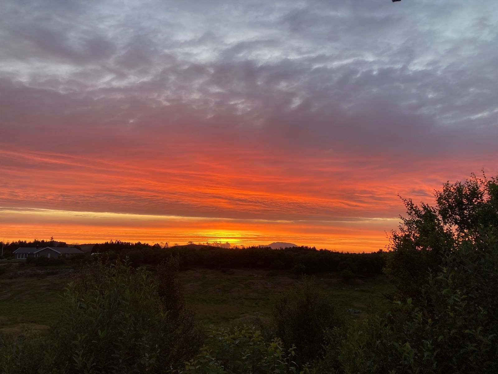 - Selgers private bilde -Lovund i bakgrunnen. Galleribilde