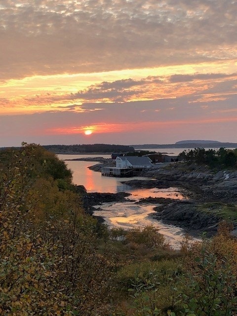 - Selgers private bilde - Galleribilde