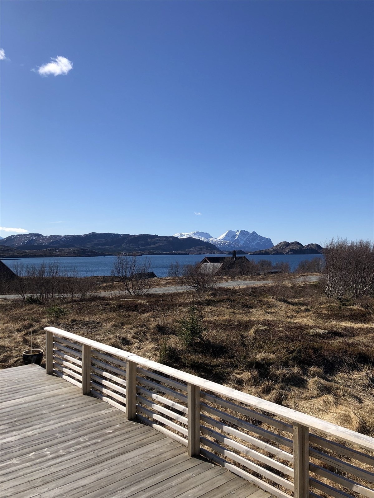 - Selgers private bilde - Dønnamannen. Galleribilde