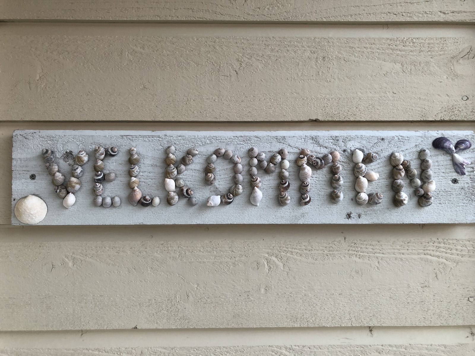 - selgers private bilde - Galleribilde