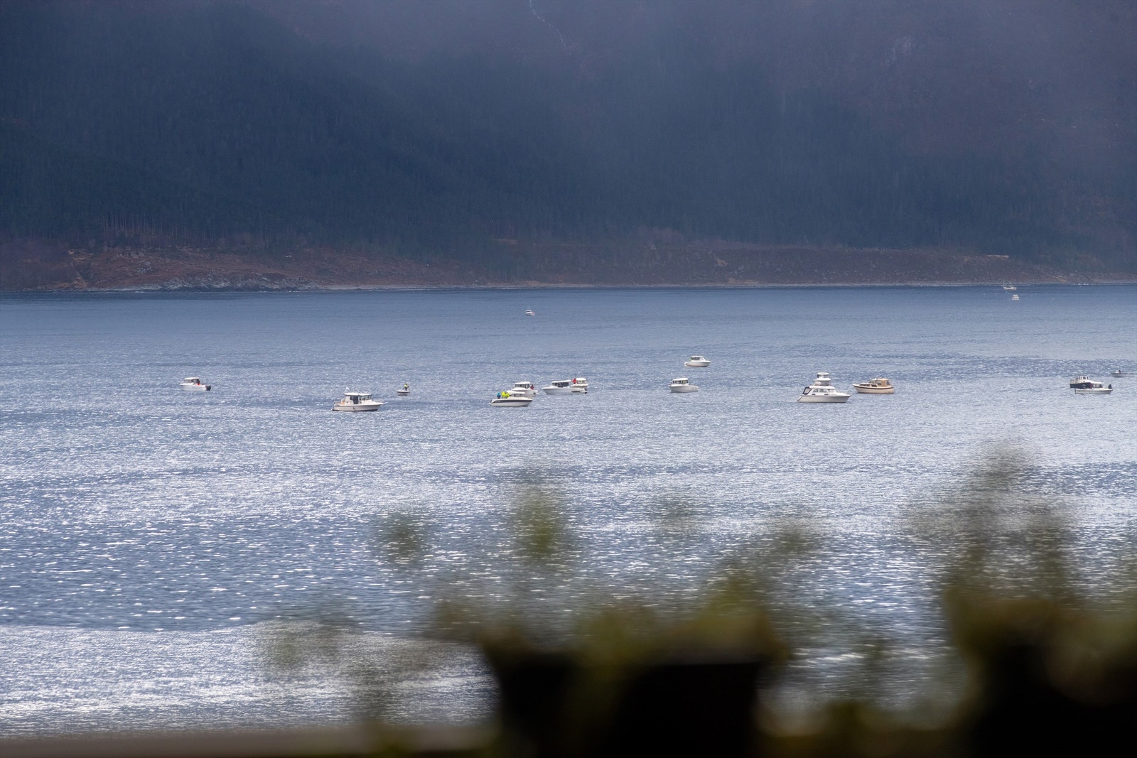 Flott utsikt mot Borgundfiske fra leiligheten Galleribilde
