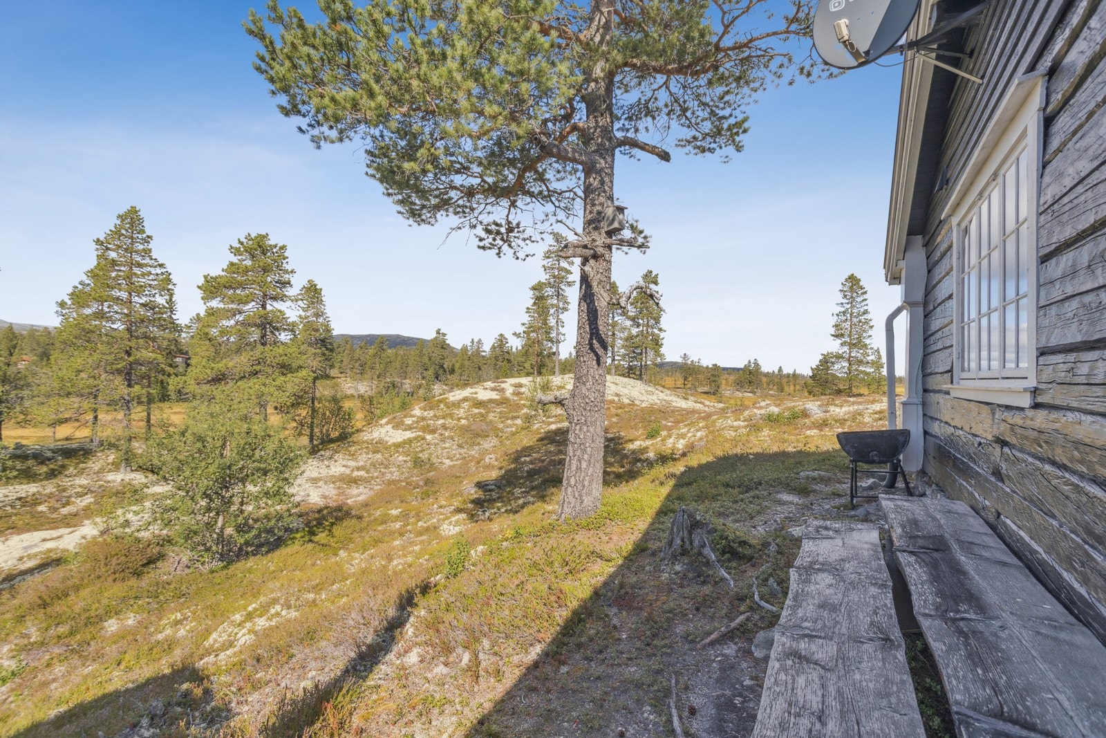 Dette er ei unik hytte som innbyr til stille og rolig hyttekos for deg som er glad i natur, jakt og fjell. Galleribilde