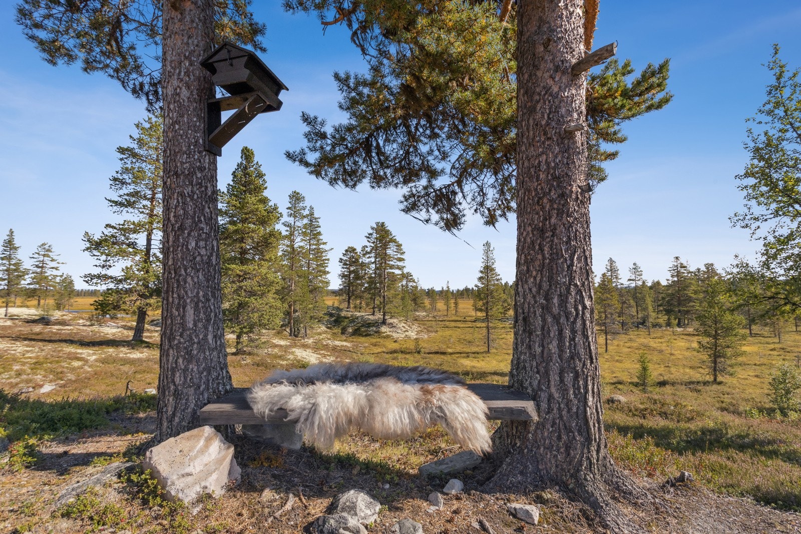 Det er laget benk mellom to trær. Med lite lysstøy har du en fantastiks stjernehimmel her på vinterhalvåret. Galleribilde