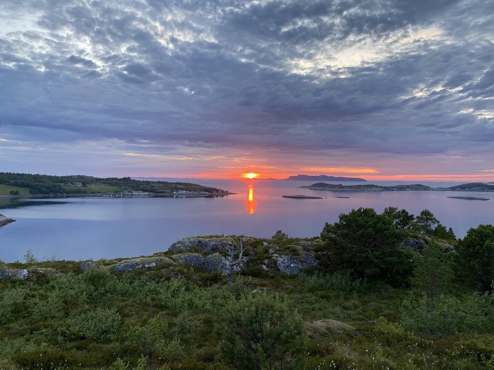 Bilde fra selger Galleribilde