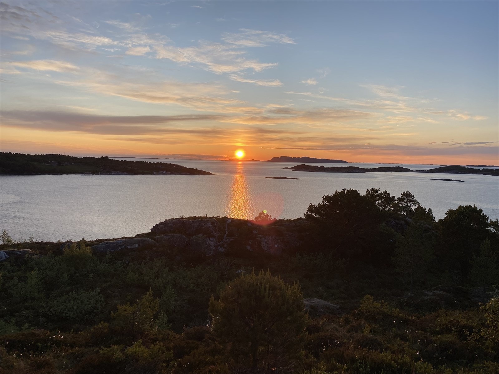 Bilde fra selger Galleribilde