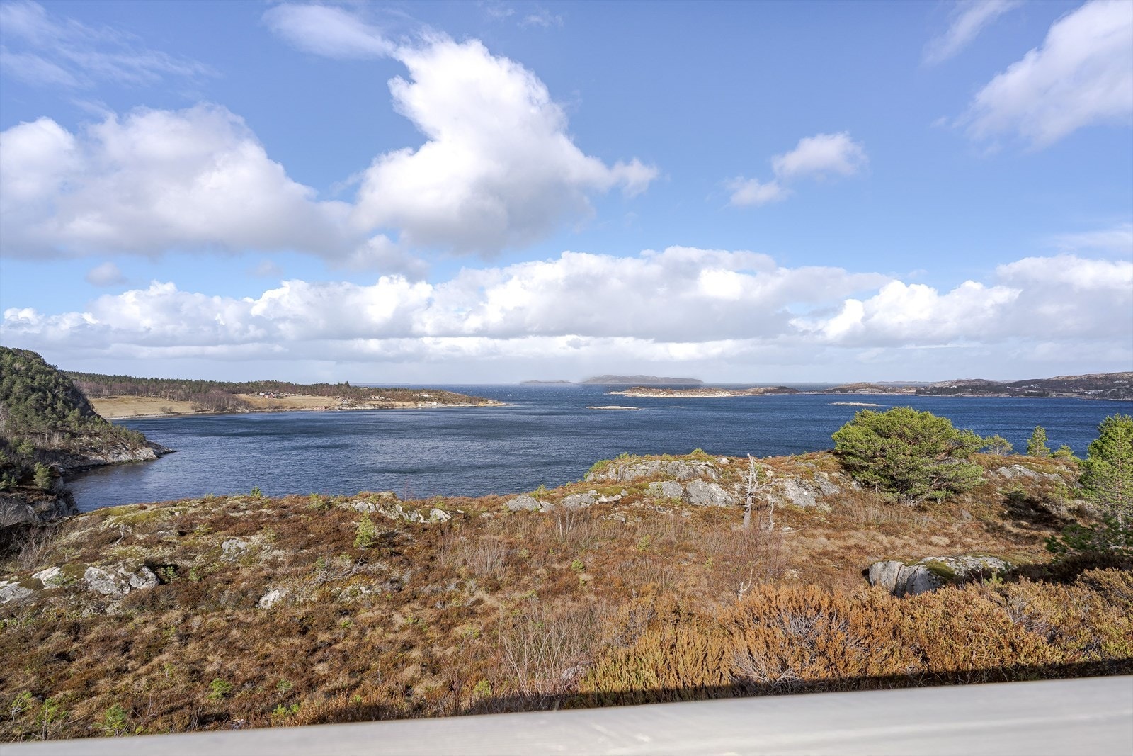 Velkommen på visning! Galleribilde