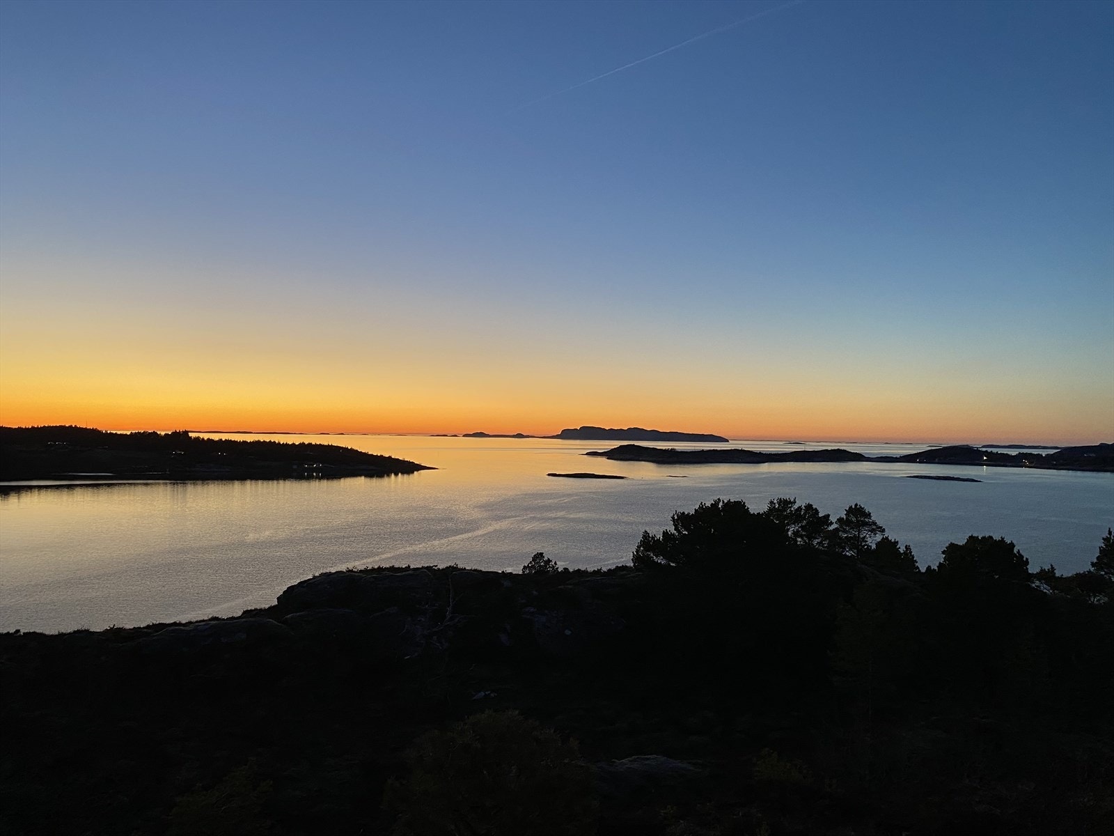 Bilde fra selger Galleribilde