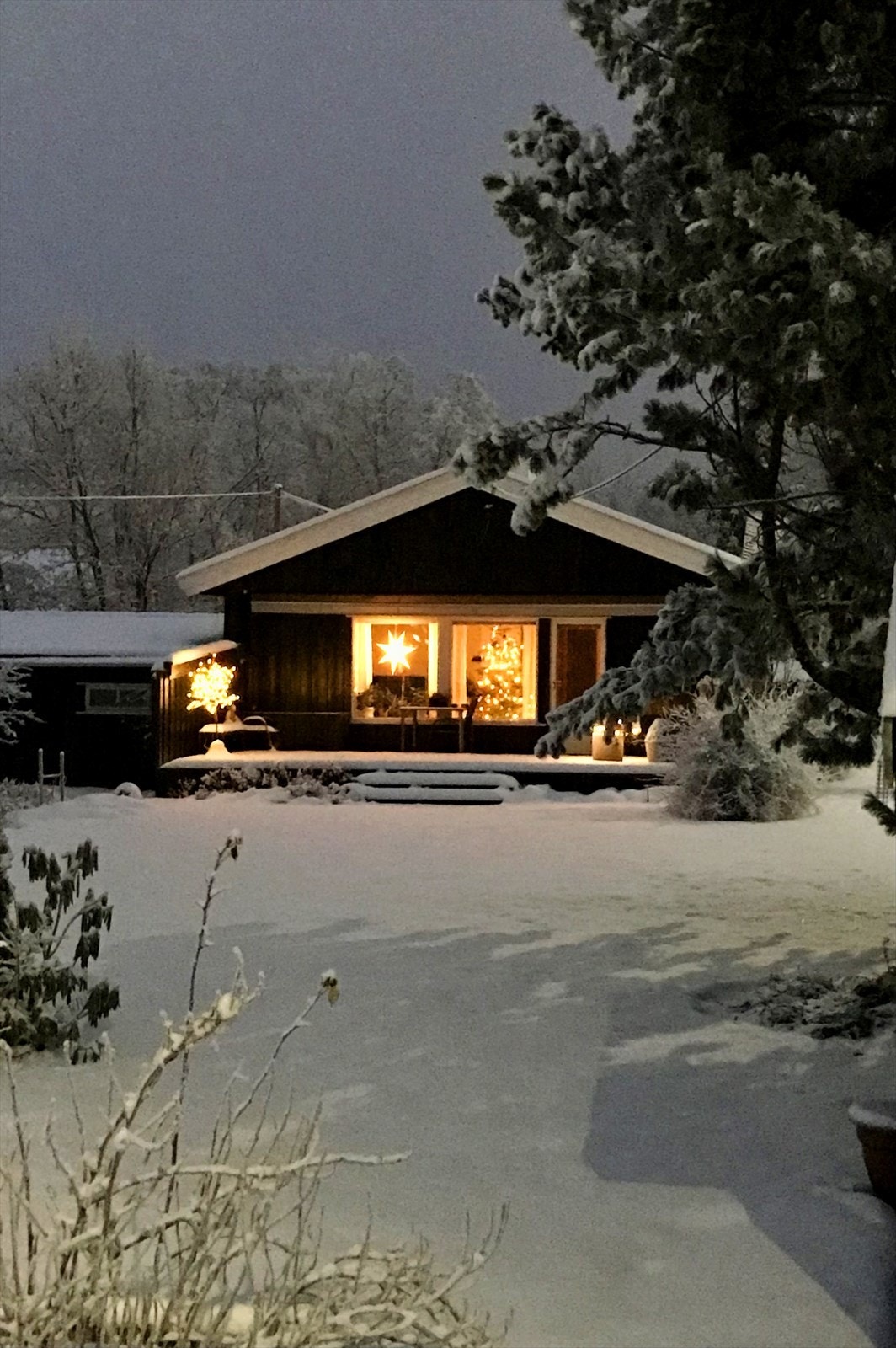 IMG 5172 Galleribilde