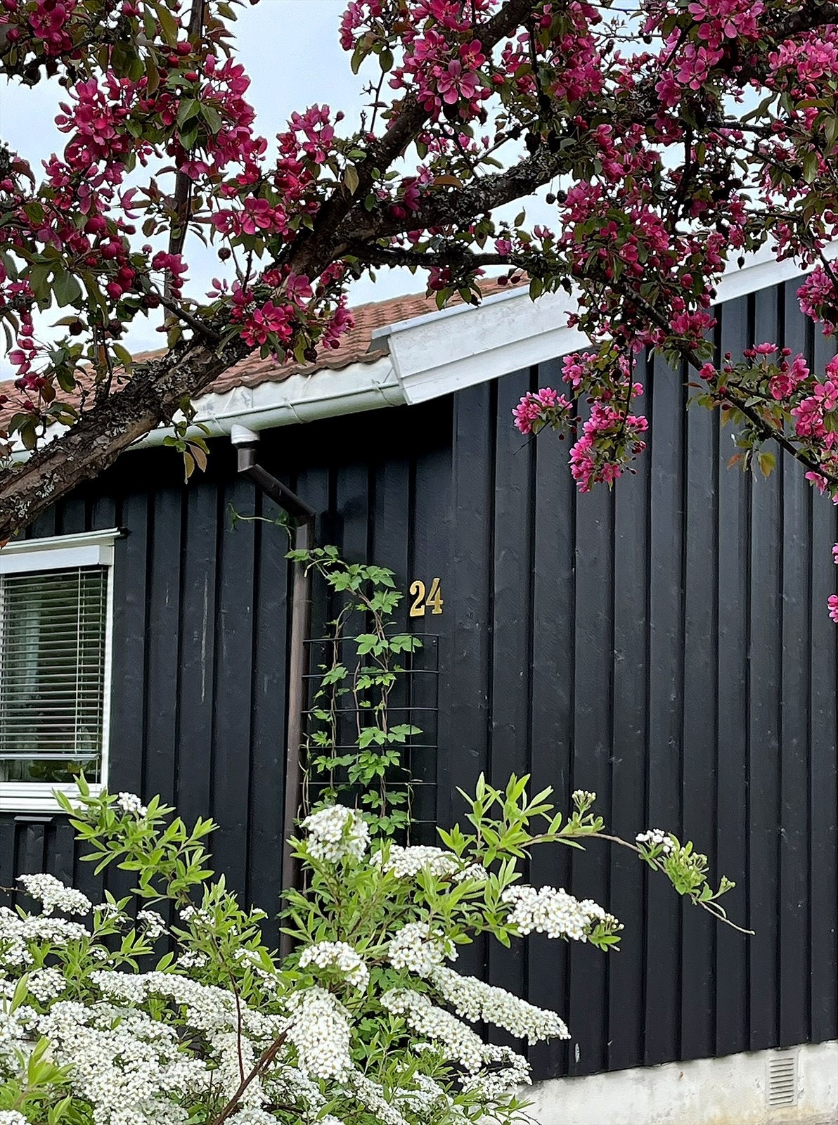 Rosendalsvegen 24. Galleribilde