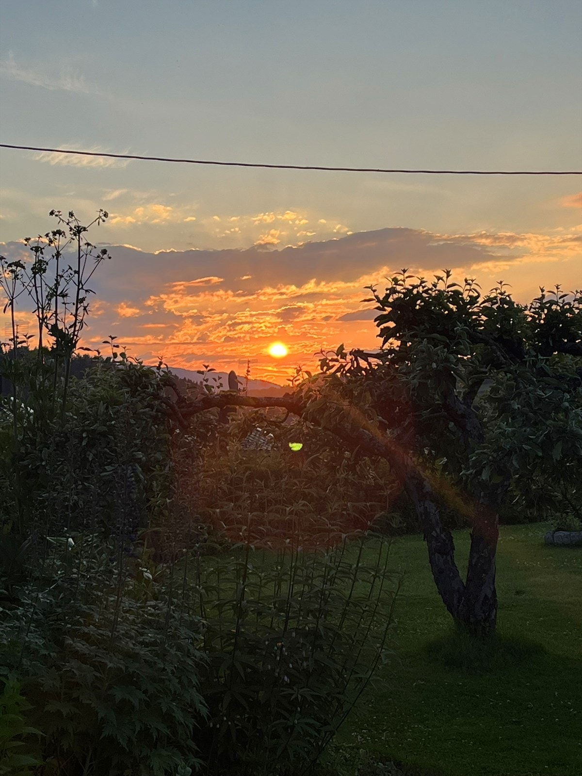 Utsikt fra eiendommen. Galleribilde