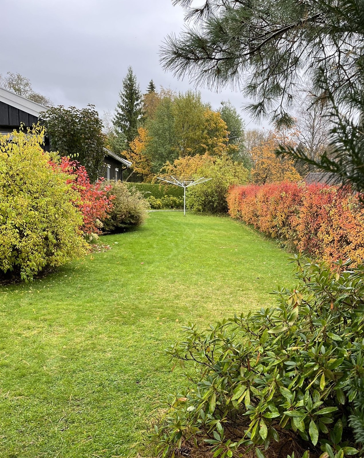 Hagen er fargerik og flott også om høsten. Galleribilde