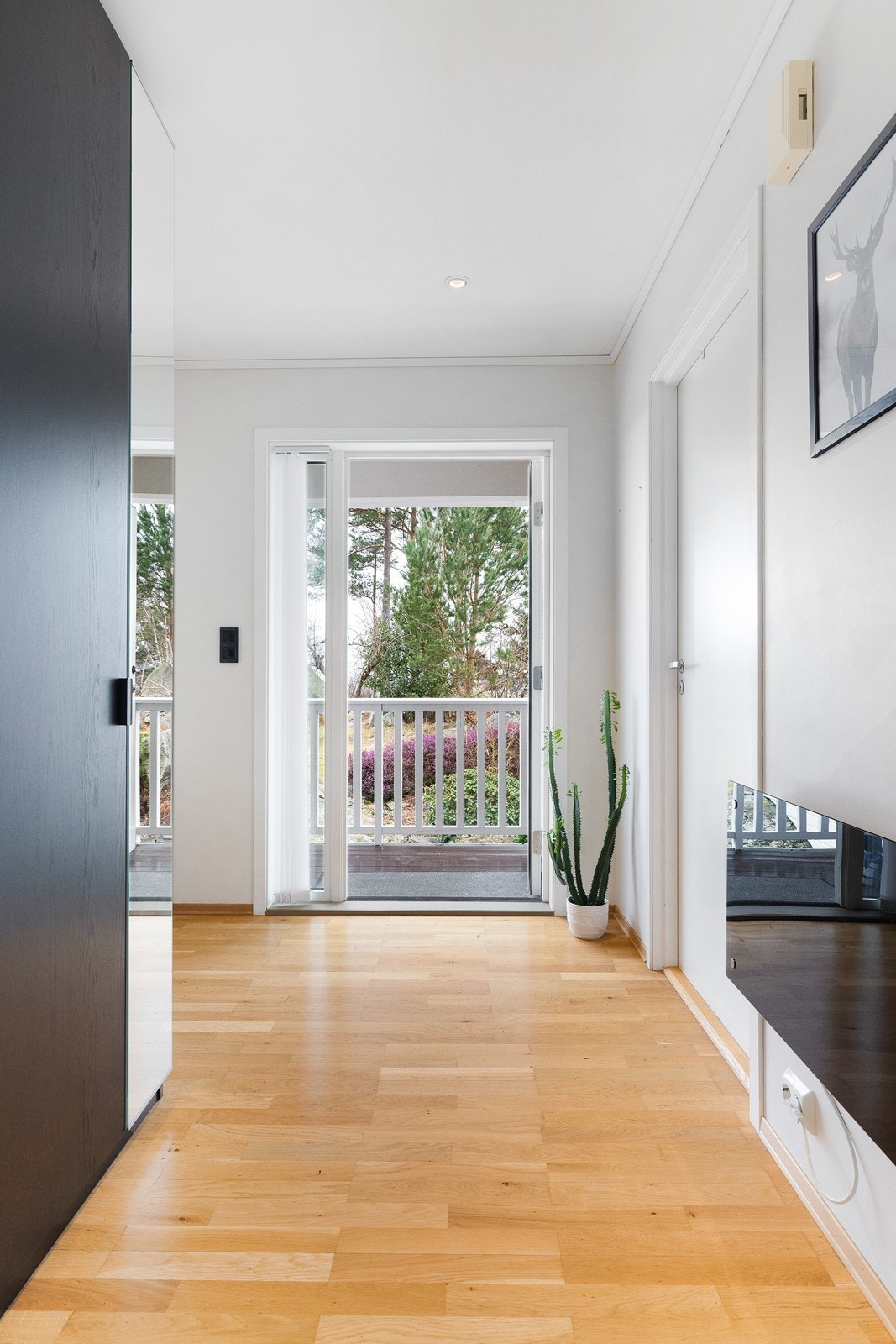 Nydelige omgivelser like utenfor inngangspartiet! Galleribilde