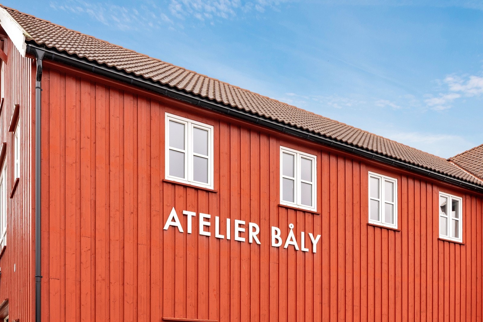 Nærområde. Galleribilde