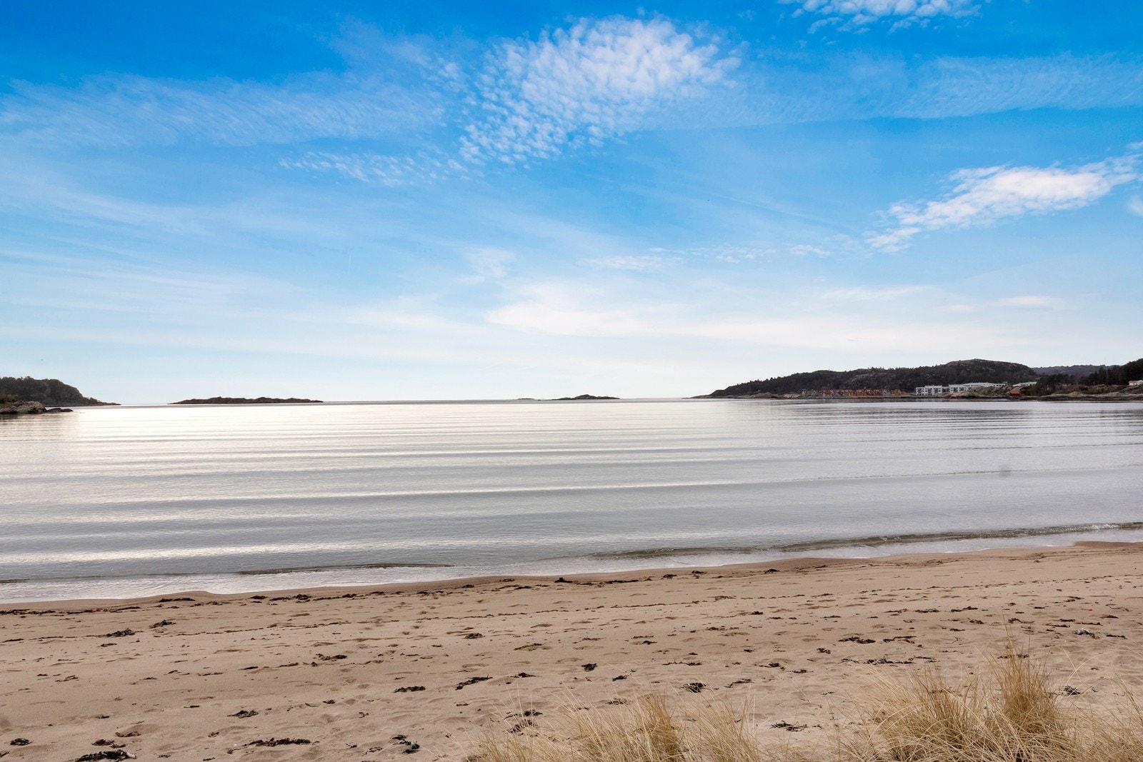 Nærområde. Galleribilde